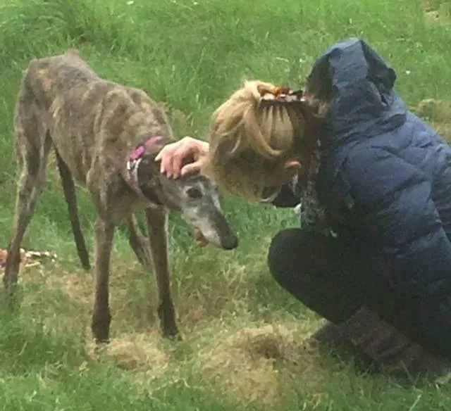 FB IMG 1493567232587