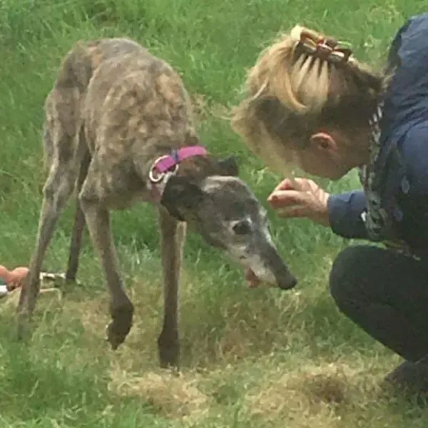 FB IMG 1493567235400