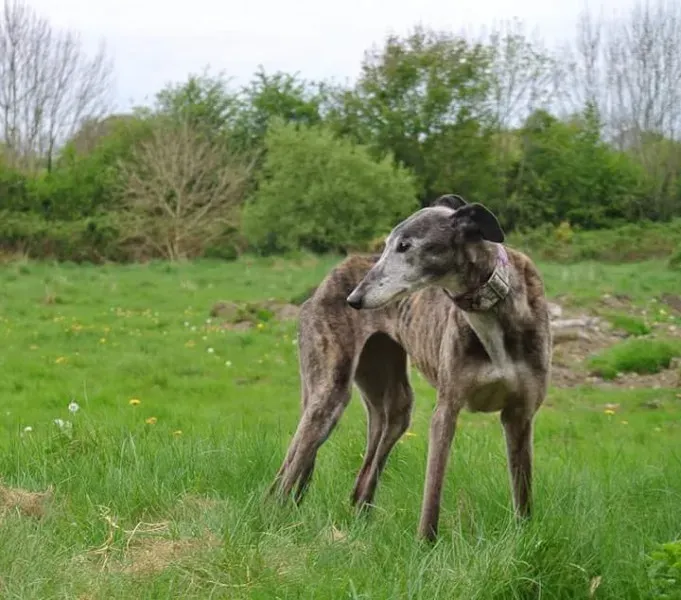 FB IMG 1493567241524