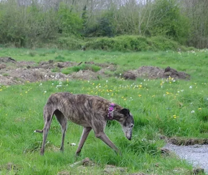 FB IMG 1493567244302