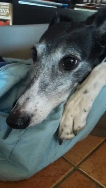 FB IMG 1493701551664