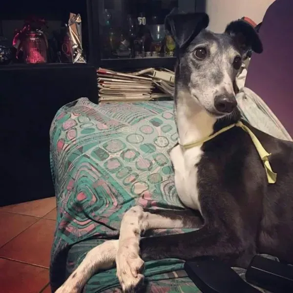 FB IMG 1493701554712