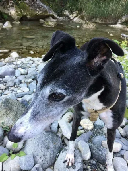 FB IMG 1493701557557