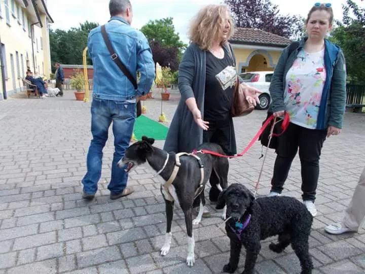 FB IMG 1493701560507