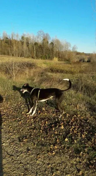 FB IMG 1493701564065