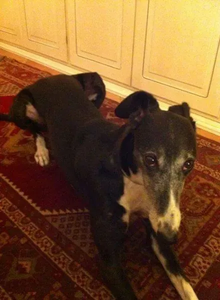 FB IMG 1493701579229