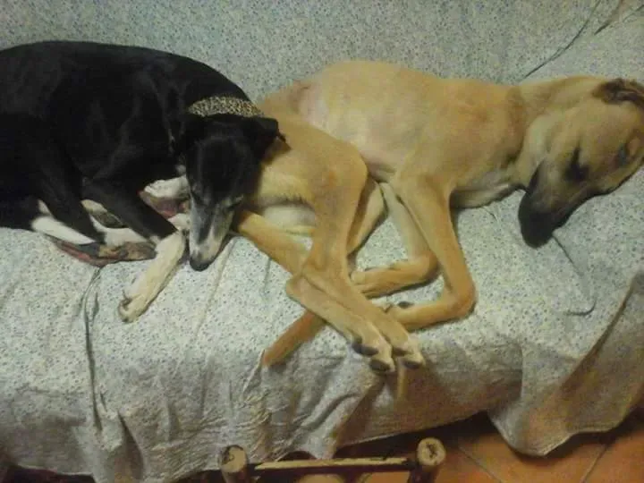 FB IMG 1493701582332