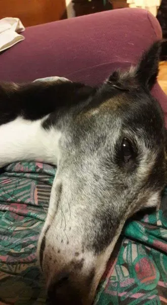 FB IMG 1493701585335