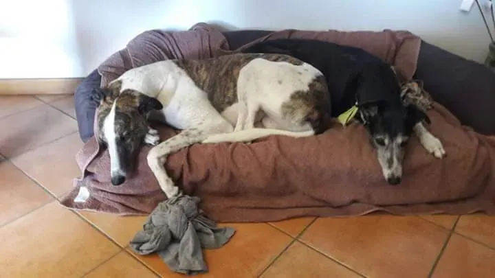 FB IMG 1493701588456