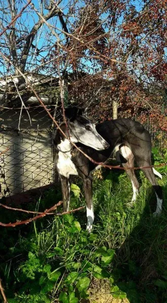 FB IMG 1493701595153