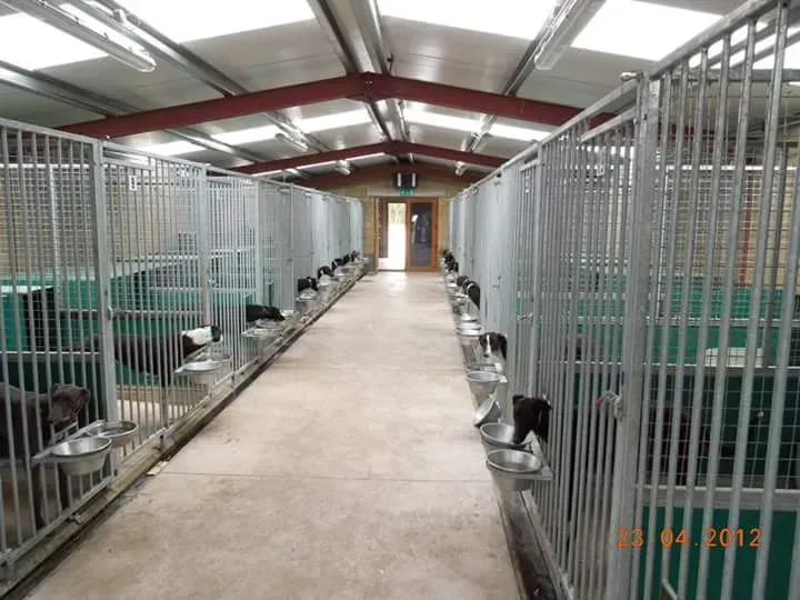 FB IMG 1498816616642