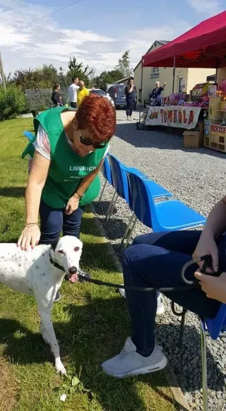 FB IMG 1499669049052