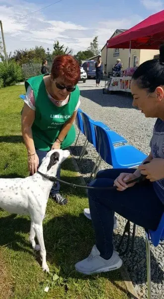 FB IMG 1499669052235