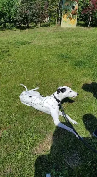 FB IMG 1499669055044