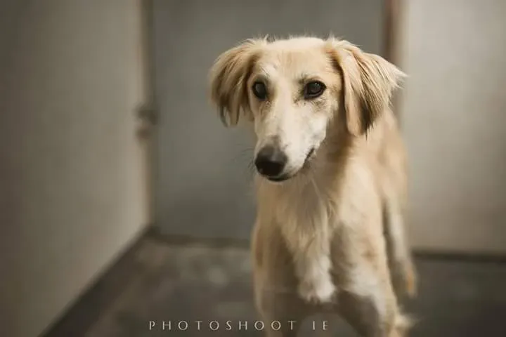 FB IMG 1499669088623