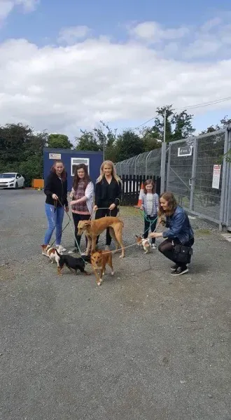 FB IMG 1503906281953