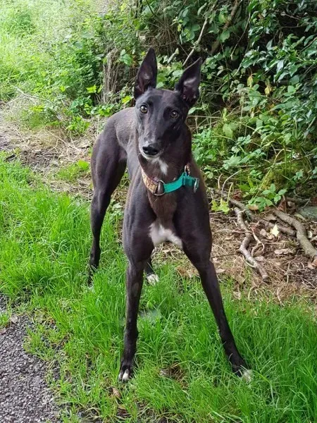 FB IMG 1503907741611