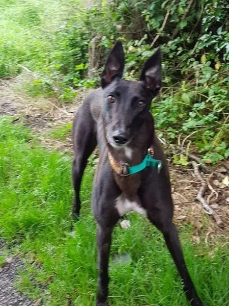 FB IMG 1503907744925