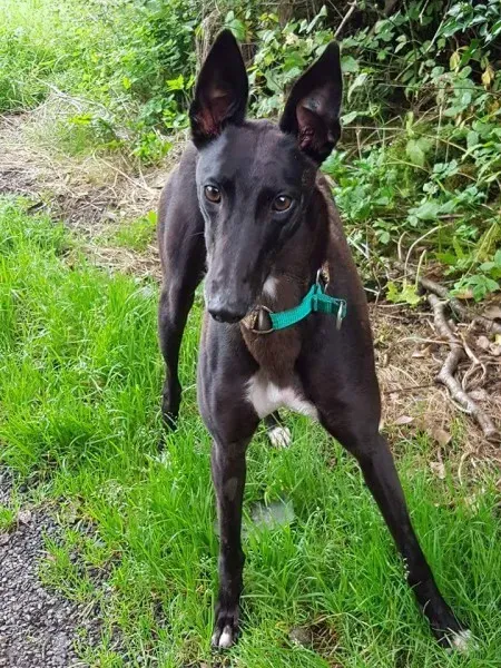 FB IMG 1503907747638