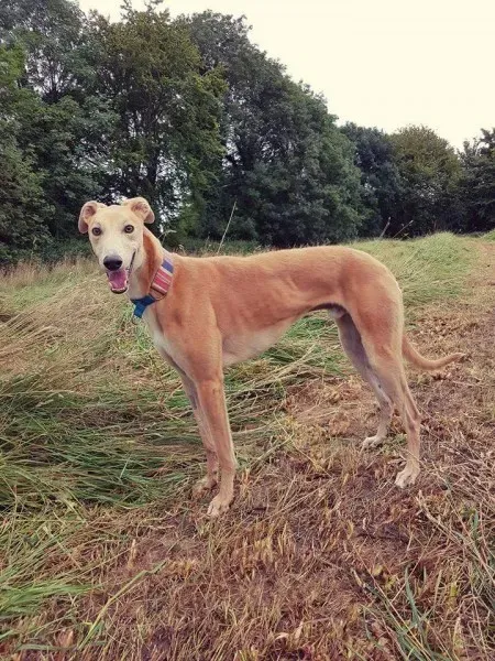 FB IMG 1503991027652