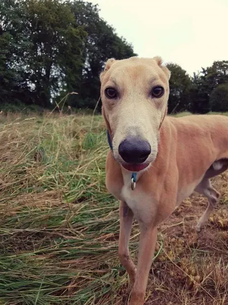 FB IMG 1503991030262