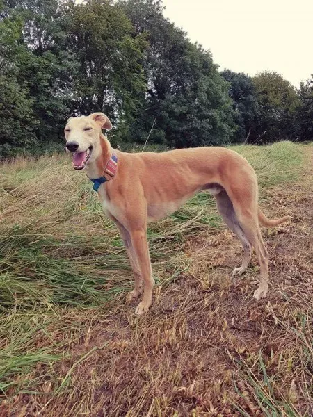 FB IMG 1503991032670