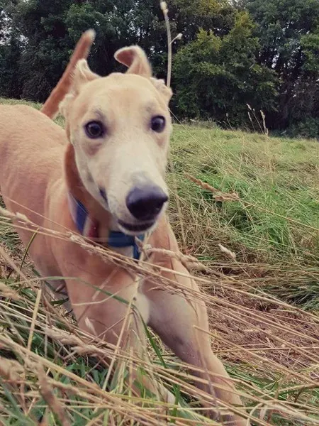 FB IMG 1503991035109