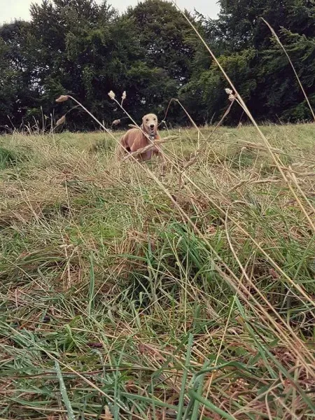 FB IMG 1503991037701