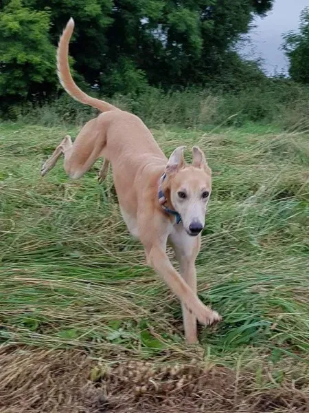 FB IMG 1503991040119