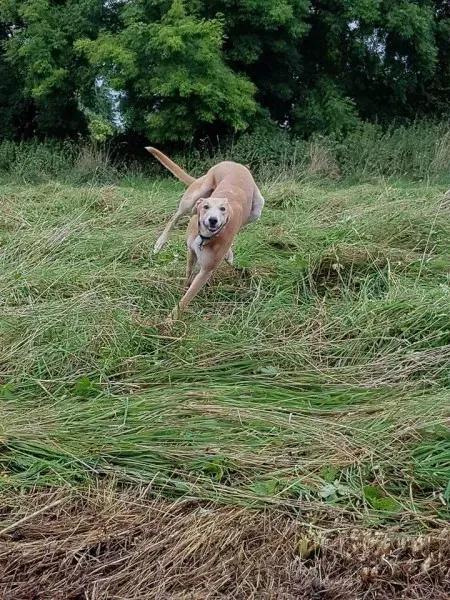 FB IMG 1503991042614