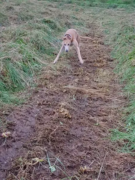 FB IMG 1503991045271