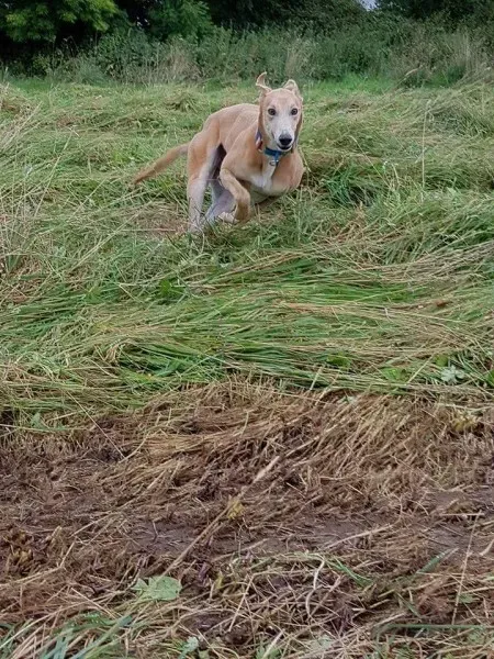 FB IMG 1503991047977