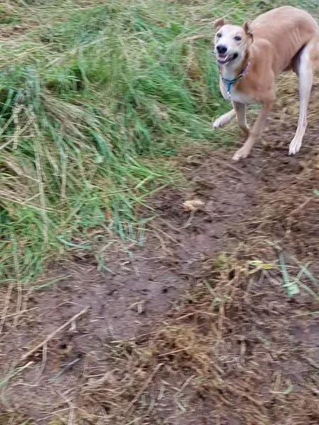 FB IMG 1503991050391