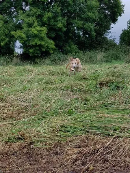 FB IMG 1503991052974 1