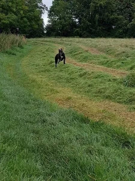 FB IMG 1503991067571