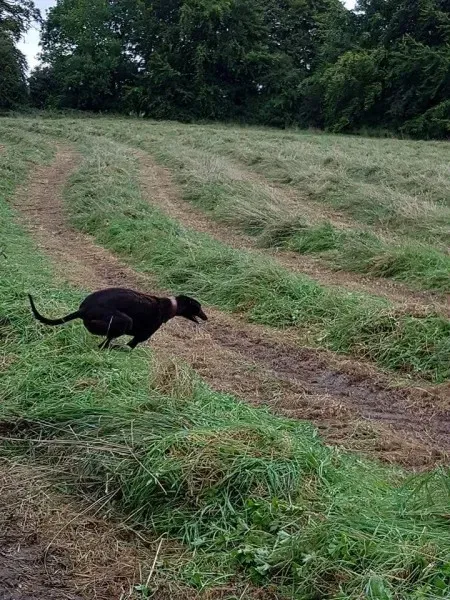 FB IMG 1503991072553