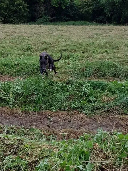 FB IMG 1503991075156