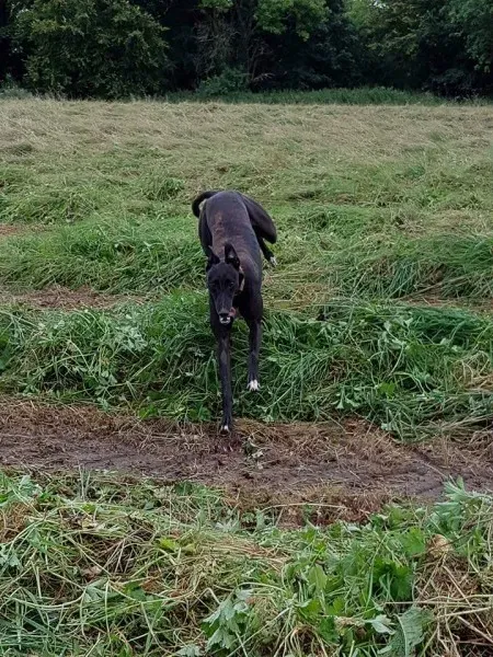 FB IMG 1503991077673