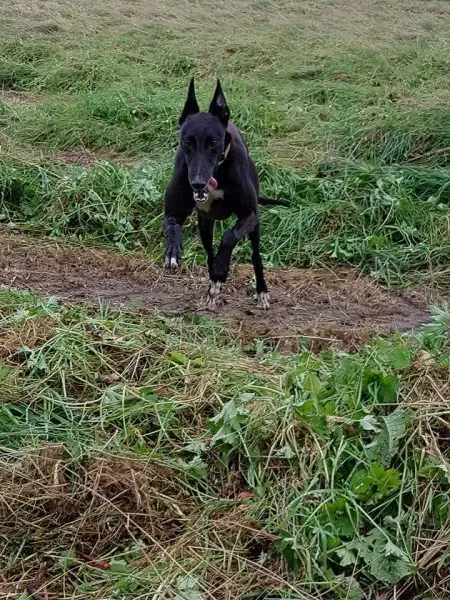 FB IMG 1503991080153