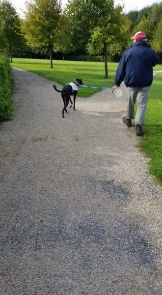 FB IMG 1504603282422