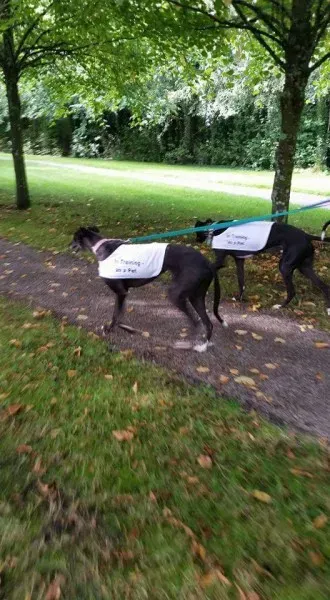 FB IMG 1504603285292