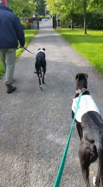 FB IMG 1504603288769