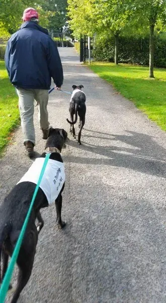 FB IMG 1504603291430