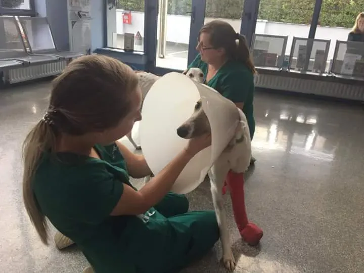 FB IMG 1506021372228