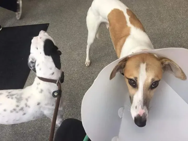 FB IMG 1506021375028