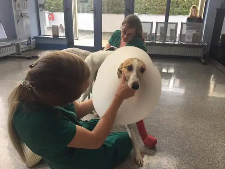 FB IMG 1506021377803