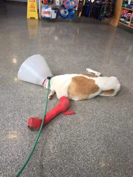 FB IMG 1506021380540