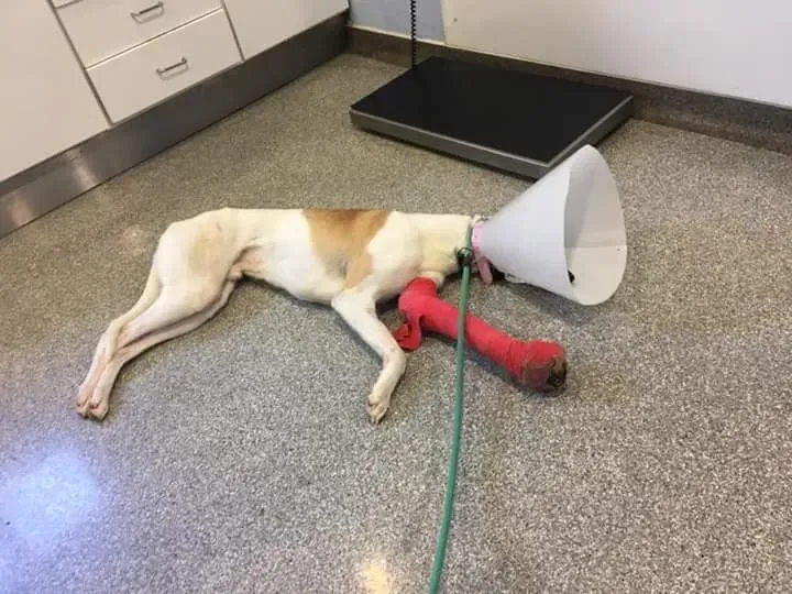 FB IMG 1506021383372