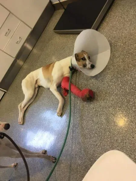 FB IMG 1506021385918