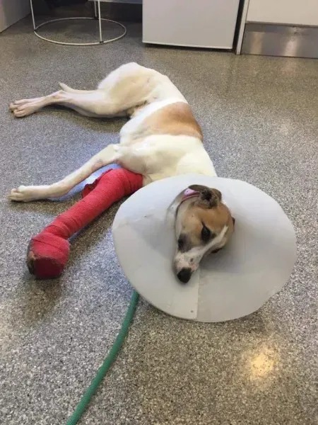 FB IMG 1506021388485